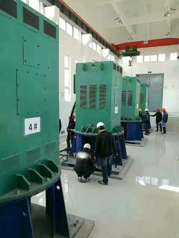眉县某污水处理厂使用我厂的立式高压电机安装现场